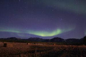 Aurora, farm, northern lights