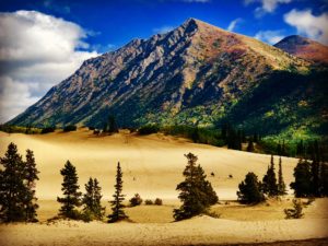 carcross, desert