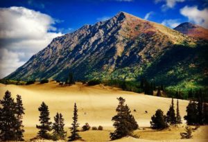 Header, carcross, desert