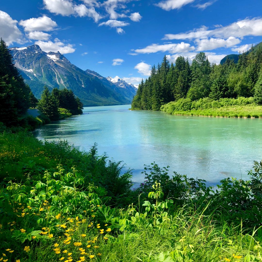 Chilkoot River | Whitehorse Tours