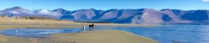 Kluane, abby, dog, lake