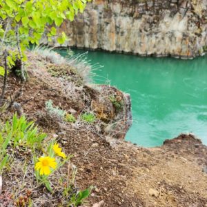 miles canyon, hike, flowers